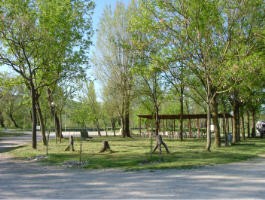Il nostro lago di pesca sportiva...